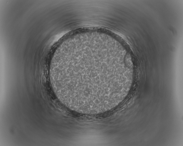 X0000112510871200909280953