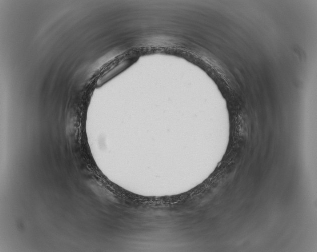 X0000112510872200909280953