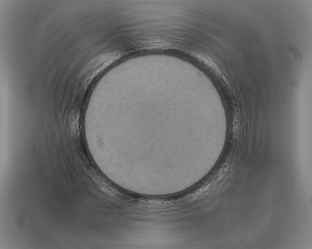 X0000112510873200909280953