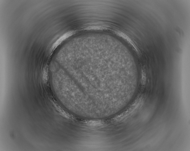 X0000112510874200909280953