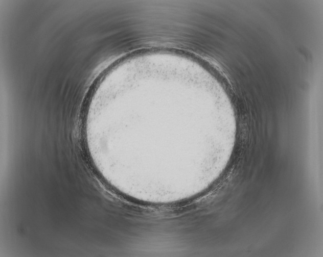 X0000112510879200909280953