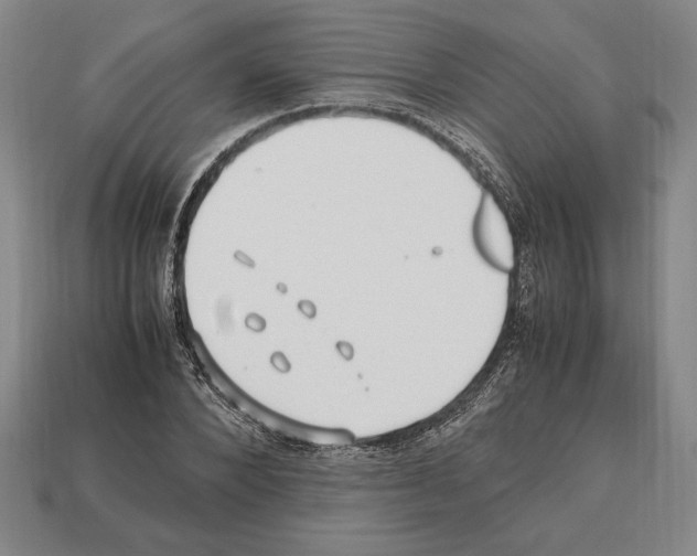 X0000112510880200909280953