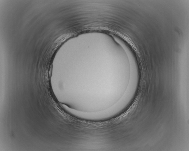 X0000112510881200909280953