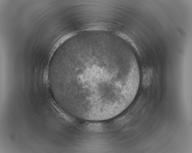 X0000112510882200909280953