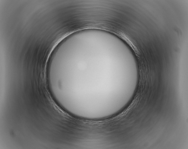 X0000112510884200909280953