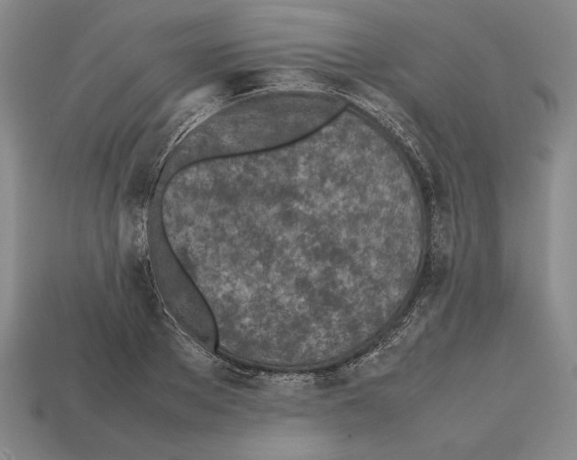 X0000112510889200909280953