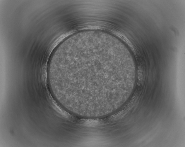 X0000112510890200909280953