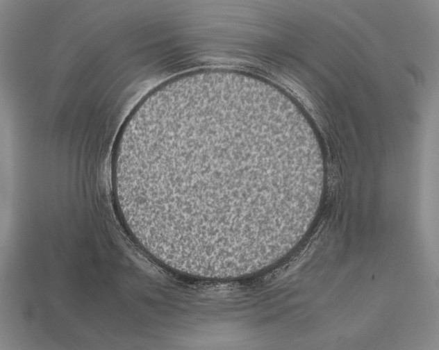 X0000112510891200909280953