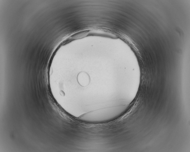 X0000112510892200909280953