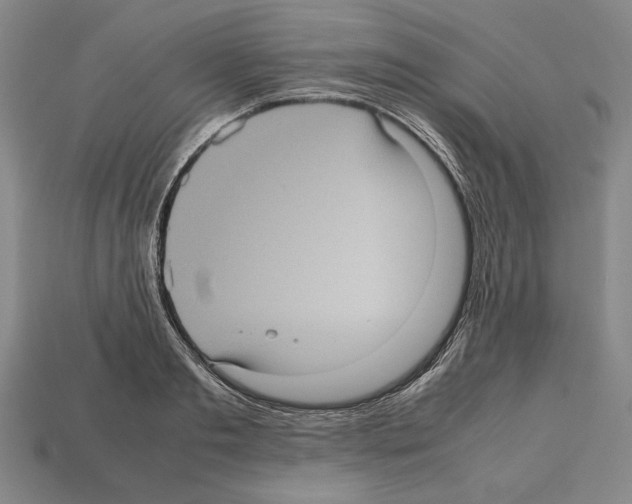 X0000112510893200909280953