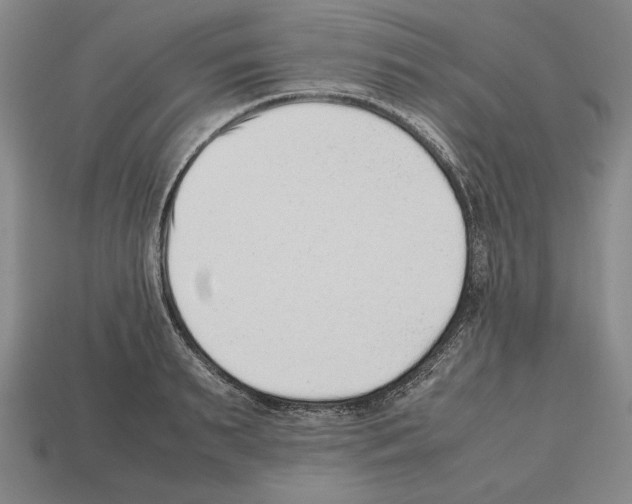 X0000112510895200909280953