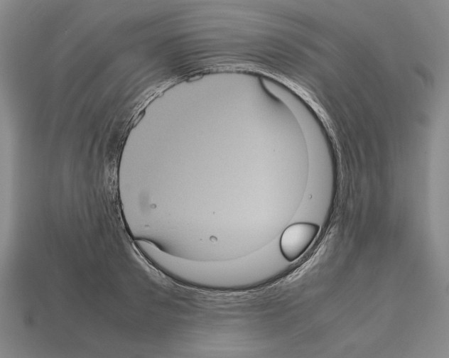 X0000112510897200909280953