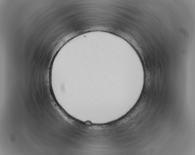 X0000112510898200909280953