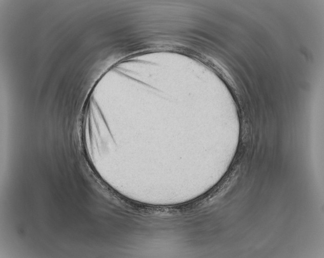 X0000112510899200909280953