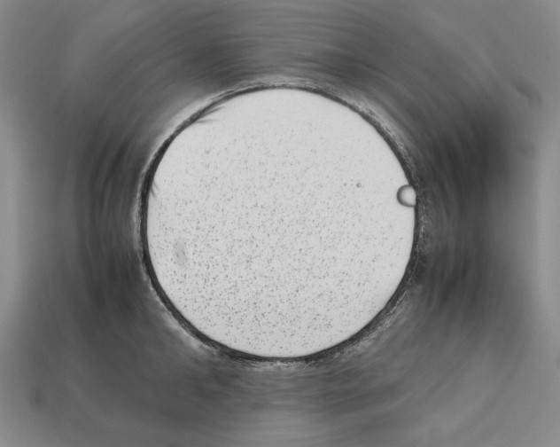 X0000112510902200909280953