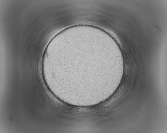 X0000112510903200909280953