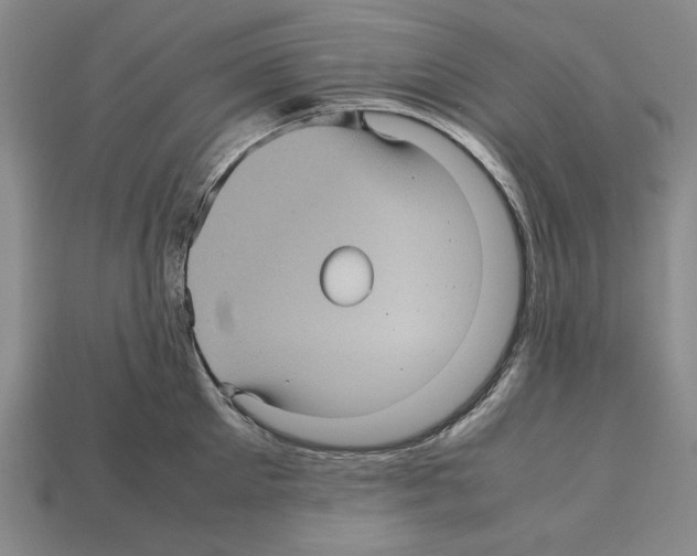 X0000112510905200909280953