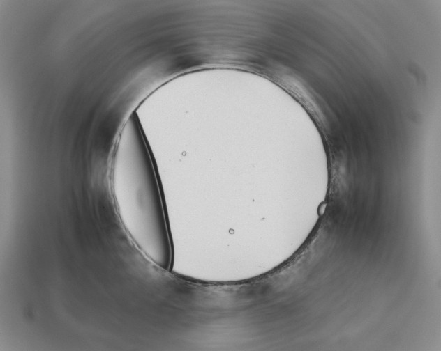 X0000112510908200909280953