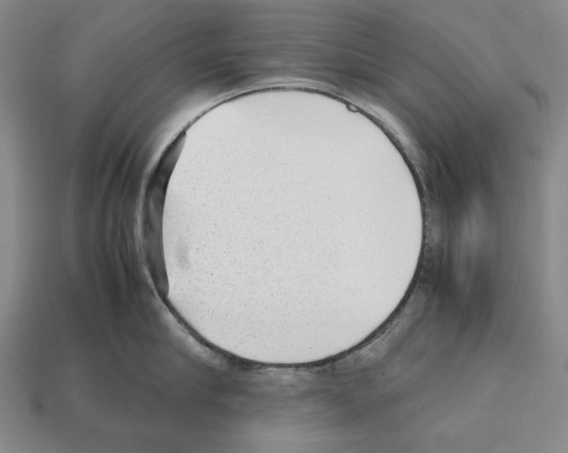 X0000112510910200909280953