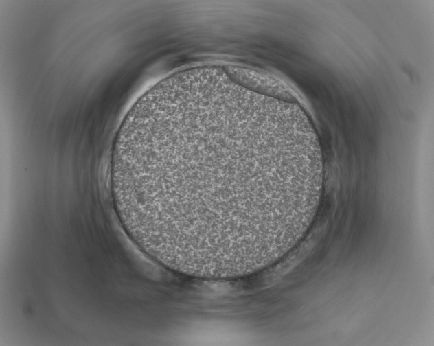 X0000112510911200909280953
