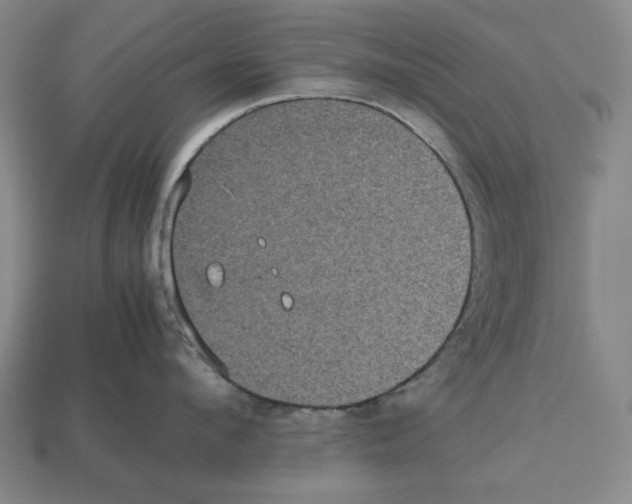 X0000112510912200909280953