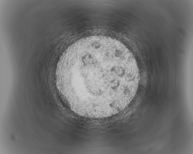 X0000112510913200909280952