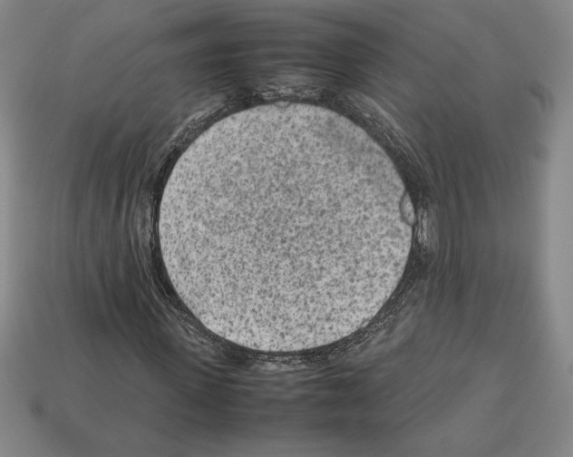 X0000112510915200909280952