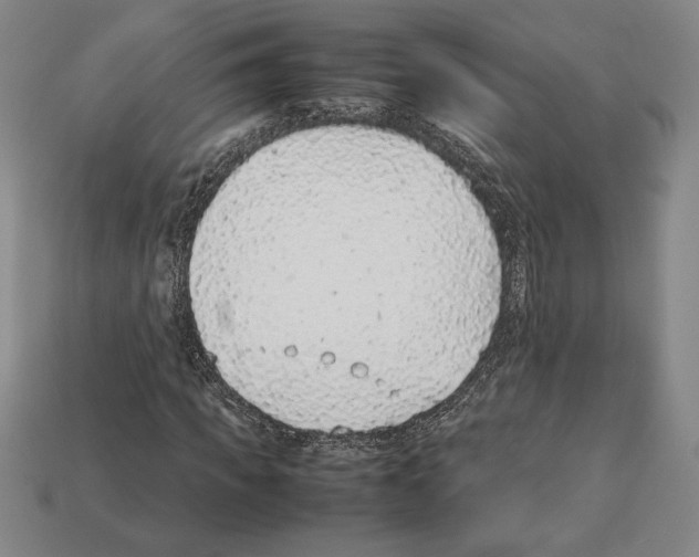 X0000112510917200909280952