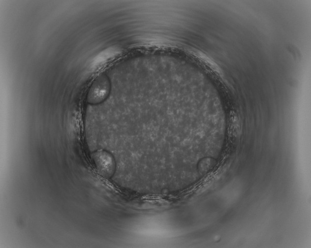 X0000112510918200909280952