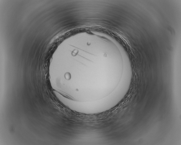 X0000112510920200909280952