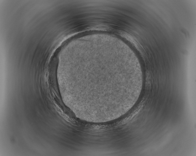 X0000112510923200909280952