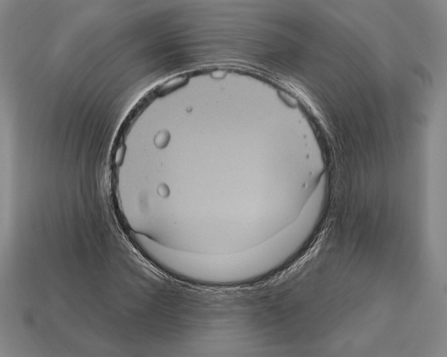 X0000112510924200909280952