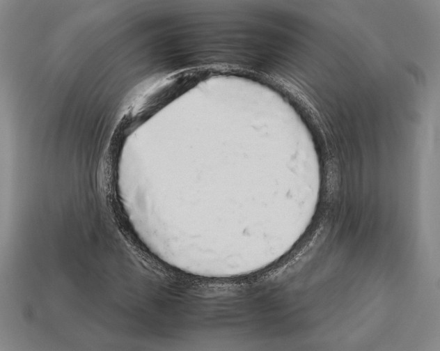 X0000112510925200909280952