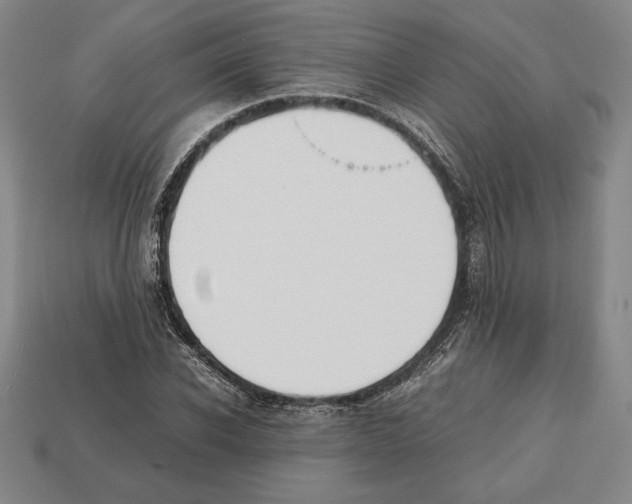 X0000112510926200909280952