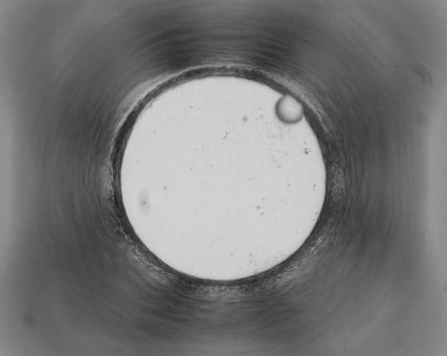 X0000112510927200909280952