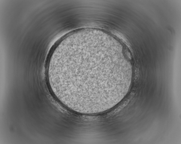 X0000112510928200909280952