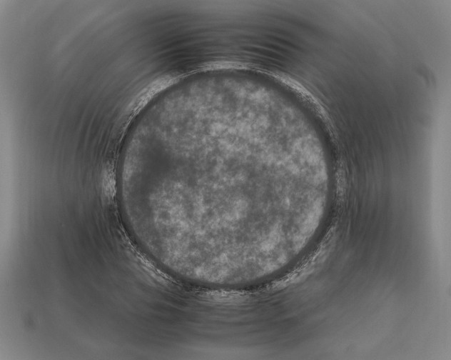 X0000112510929200909280952