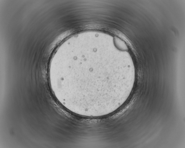 X0000112510930200909280952