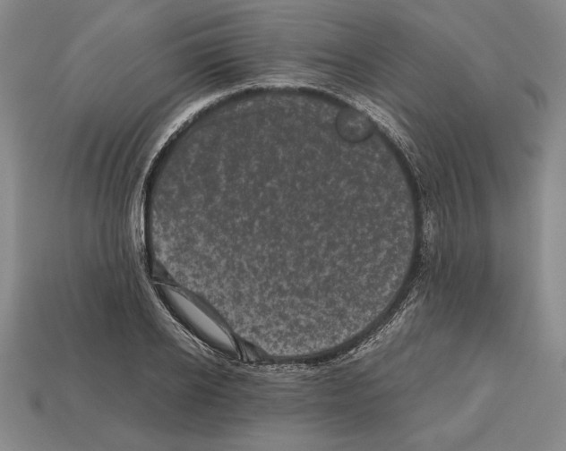 X0000112510934200909280952