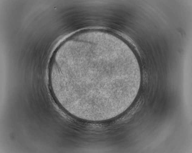 X0000112510935200909280952