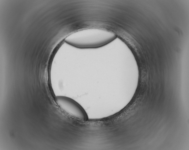 X0000112510936200909280952