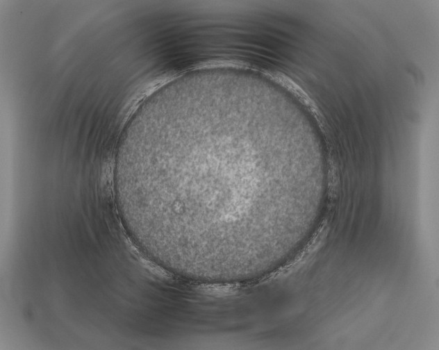 X0000112510937200909280952