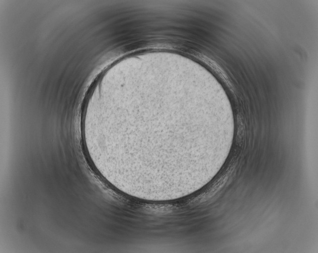 X0000112510939200909280952