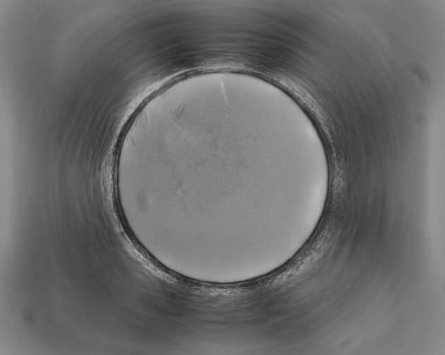 X0000112510941200909280953