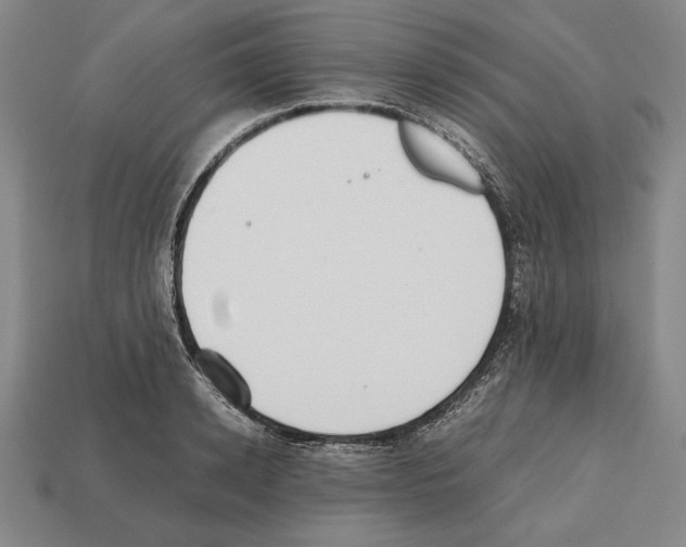 X0000112510942200909280953