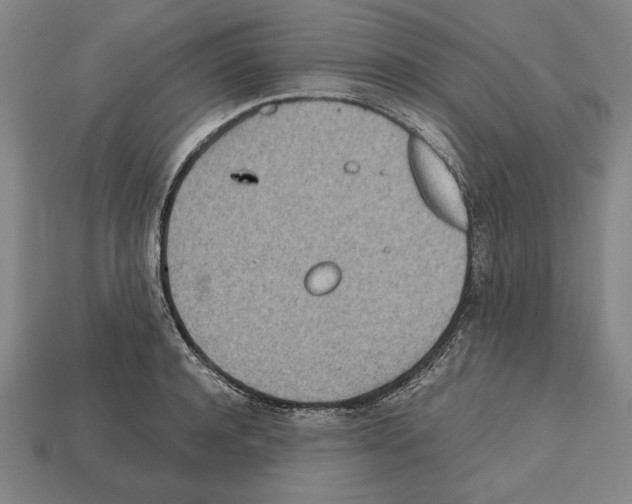 X0000112510944200909280953