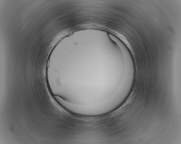 X0000112510946200909280953