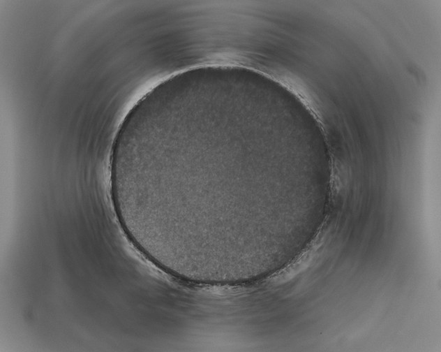 X0000112510950200909280953