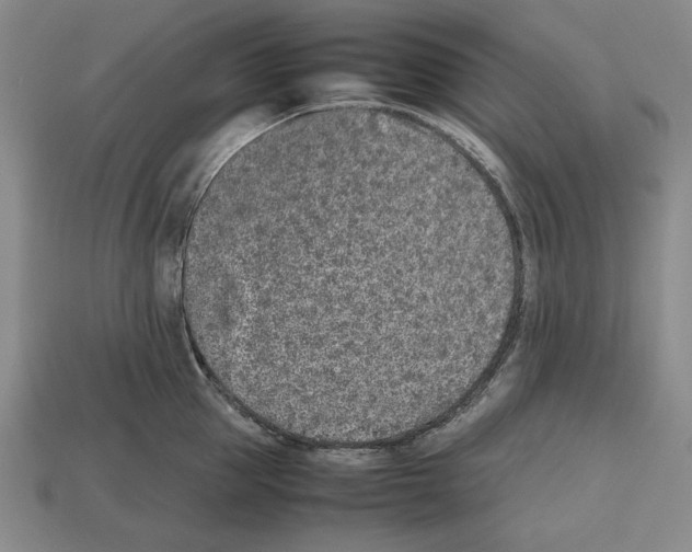 X0000112510953200909280953
