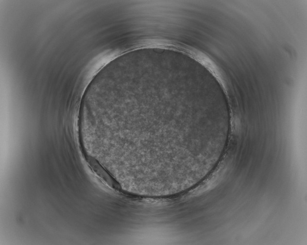 X0000112510954200909280953